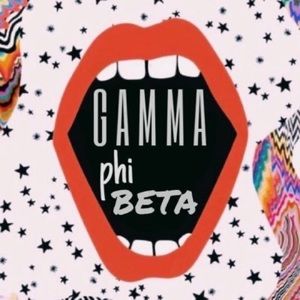 gamma phi beta mystery box